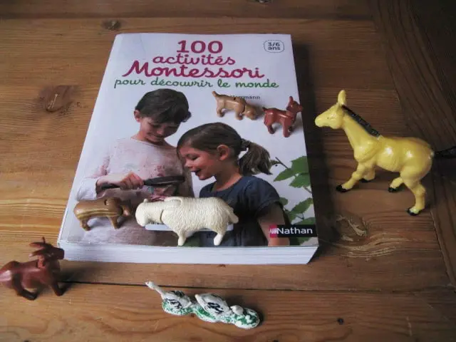 Comment Aider Vos Enfants Avec La Pegagogie Montessori 5 Livres